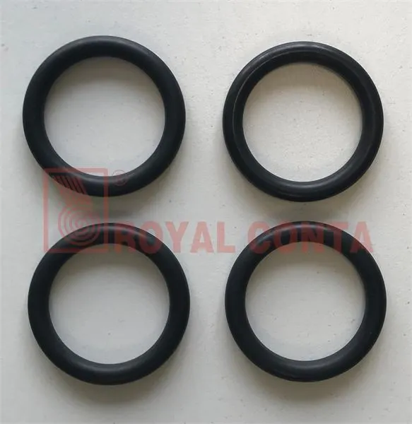 EGZOZ MANİFOLT CONTA ROYAL H7 1119