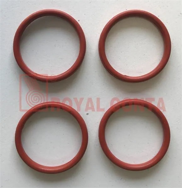 EGZOZ MANİFOLT CONTA ROYAL H7 1464