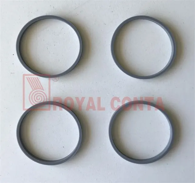 EGZOZ MANİFOLT CONTA ROYAL H7 4226