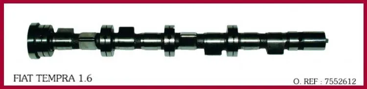 EKSANTRİK MİLİ GEMSAFT FTTMP01