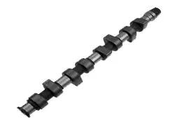 EKSANTRİK MİLİ GEMSAFT VWTNP01