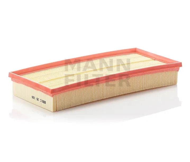 HAVA FİLTRESİ MANN C35126