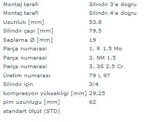 MAHLE MOTOR PİSTON + SEGMAN MAHLE 0220300