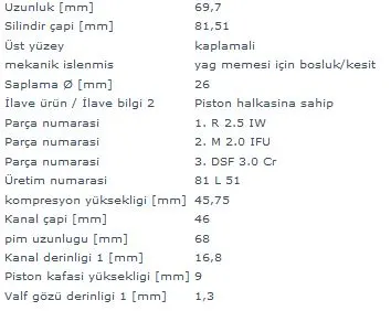 MAHLE MOTOR PİSTON + SEGMAN MAHLE 0308802