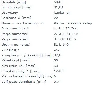 MAHLE MOTOR PİSTON + SEGMAN MAHLE 0309000