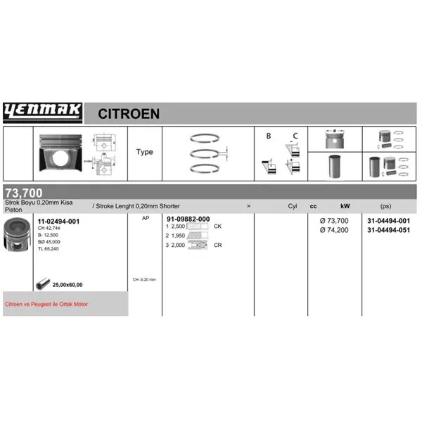 PİSTON + SEGMAN YENMAK 31-04494-001