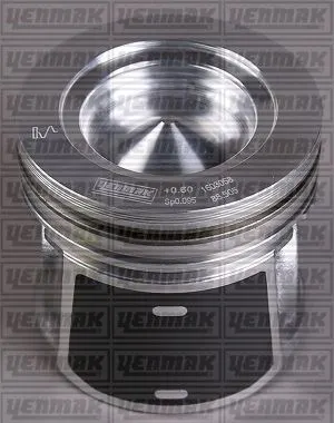 PİSTON + SEGMAN YENMAK 31-04838-000