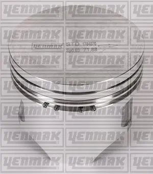 PİSTON + SEGMAN YENMAK 31-04951-050