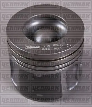 PİSTON + SEGMAN YENMAK 36-04949-000