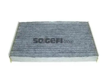 POLEN FİLTRESİ PURFLUX AHC386