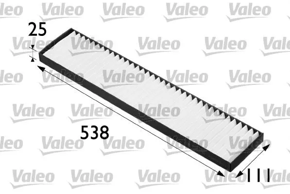 POLEN FİLTRESİ VALEO 698247