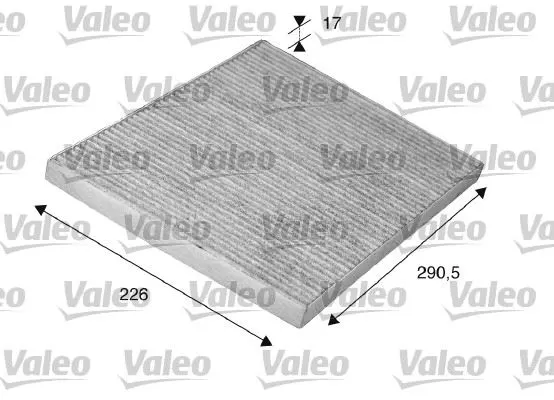 POLEN FİLTRESİ VALEO 698746