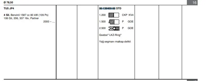 SEGMAN GOETZE 61394000G