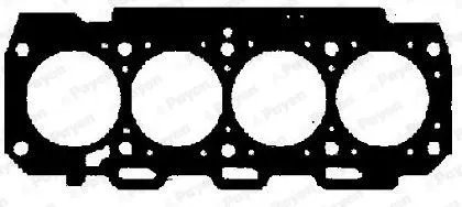 SİLİNDİR KAPAK CONTASI PAYEN AA5581