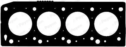 SİLİNDİR KAPAK CONTASI PAYEN AB5350