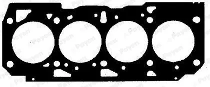 SİLİNDİR KAPAK CONTASI PAYEN BZ811