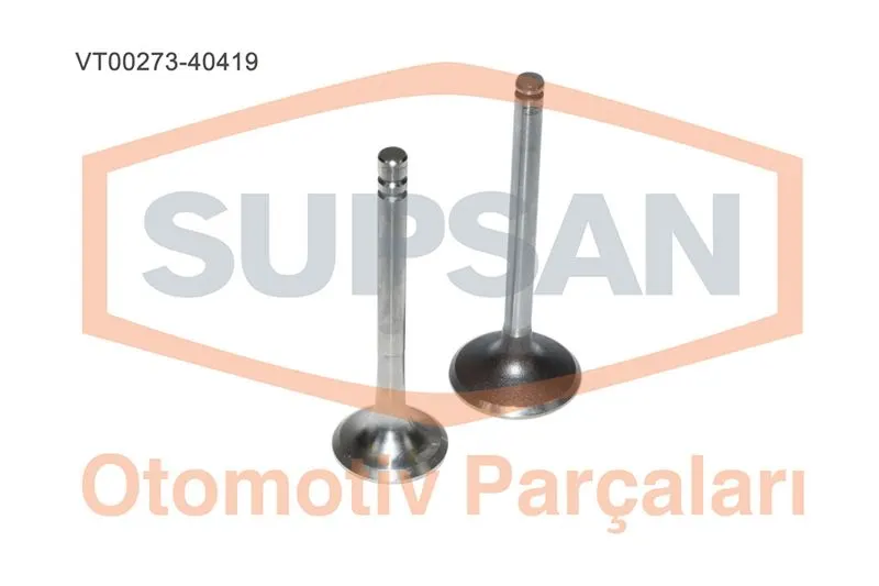 SUPAP TAKIMI SUPSAN TV-00273-40419