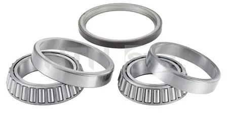 TEKER RULMANI SNR R14147