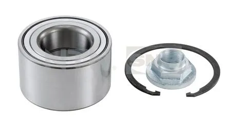 TEKER RULMANI SNR R17049