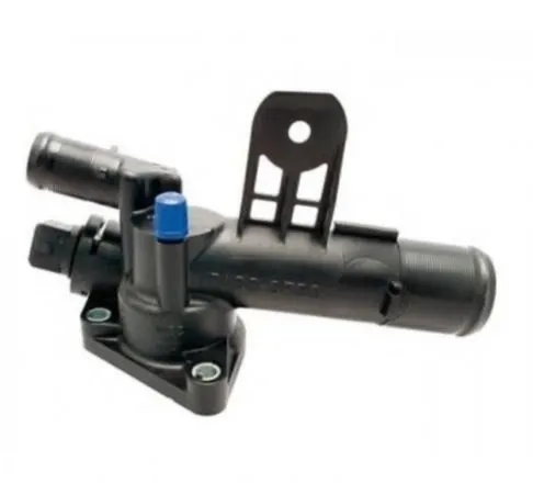 TERMOSTAT MAIS 110602309R