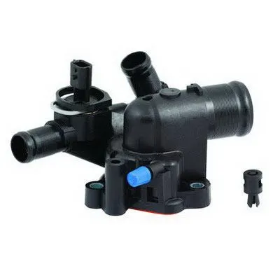 TERMOSTAT MAIS 8200907243