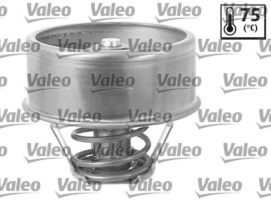 TERMOSTAT VALEO 819856