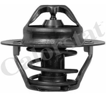 TERMOSTAT VERNET TH6047.89J