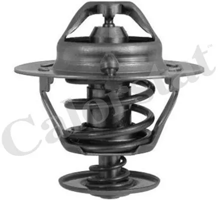 TERMOSTAT VERNET TH6294.82J