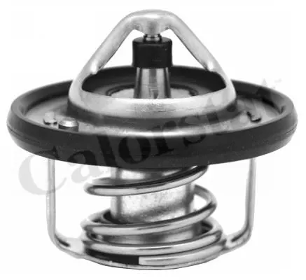 TERMOSTAT VERNET TH6949.82J