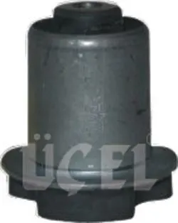 TORSİYON BURCU UCEL 10501