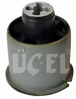TORSİYON BURCU UCEL 10516