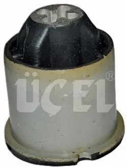 TORSİYON BURCU UCEL 10733
