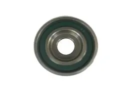 TRİGER GERGİ RULMANI GMB GT10520
