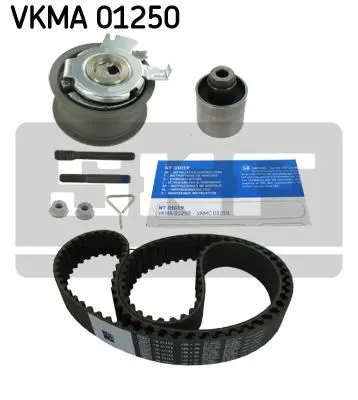 TRİGER SETİ SKF VKMA01250