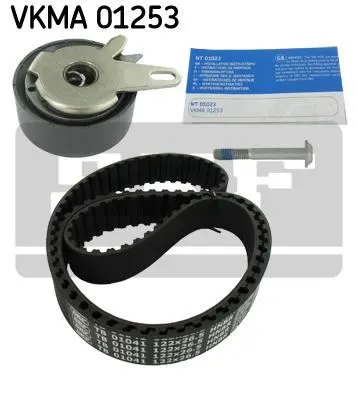 TRİGER SETİ SKF VKMA01253