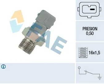YAĞ MÜŞÜR VE PARÇALARI FAE 12460