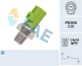 YAĞ MÜŞÜR VE PARÇALARI FAE 12613