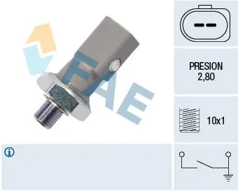 YAĞ MÜŞÜR VE PARÇALARI FAE 12855